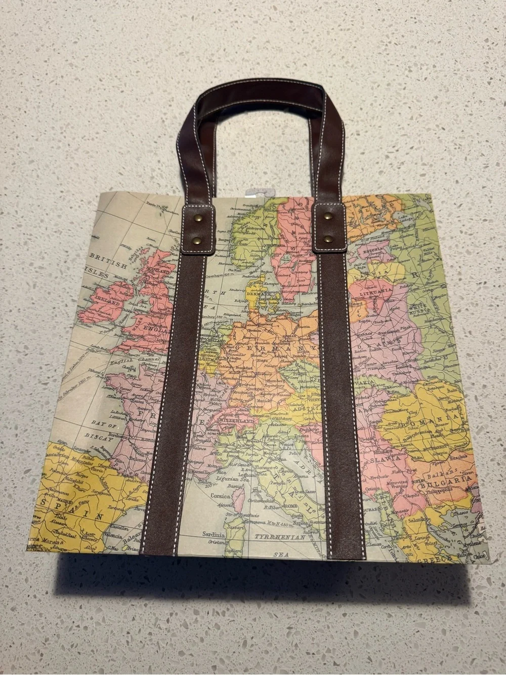 Papyrus Gift Bag World Globe 11x11x6  -Print Canvas Tote Bag with Brown Straps